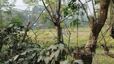 ভোরে সাতক্ষীরা সীমান্তে বিএসএফের ৪ রাউন্ড গুলি