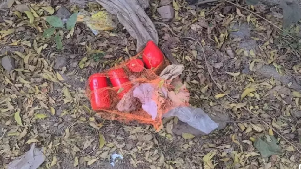 কেরু অ্যান্ড কোম্পানিতে আবার বোমাসদৃশ বস্তু